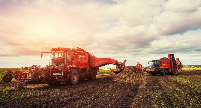 Agriculture & Farming Image